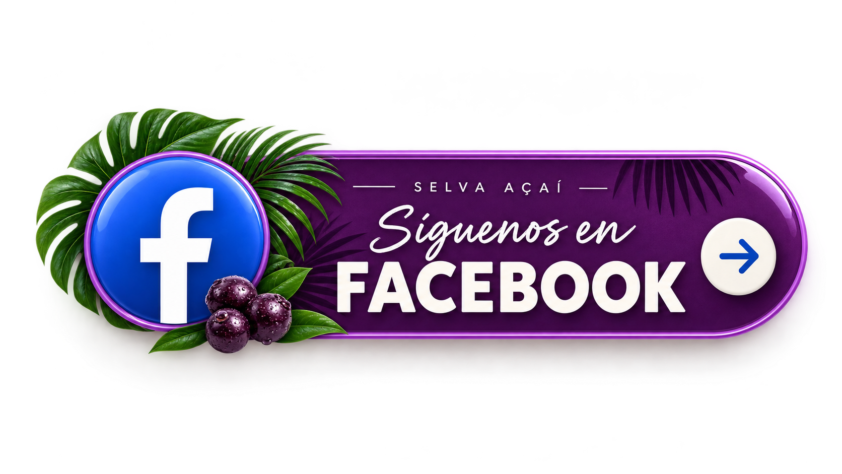 Síguenos en Facebook — Selva Açaí