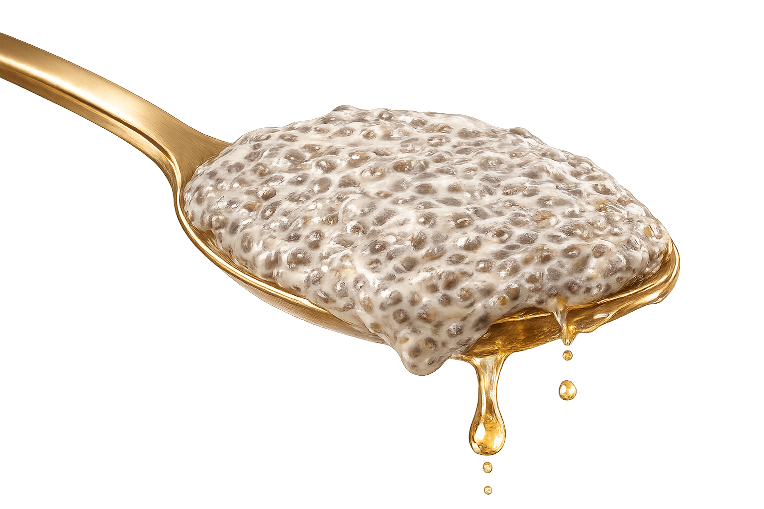 Pudding de chía